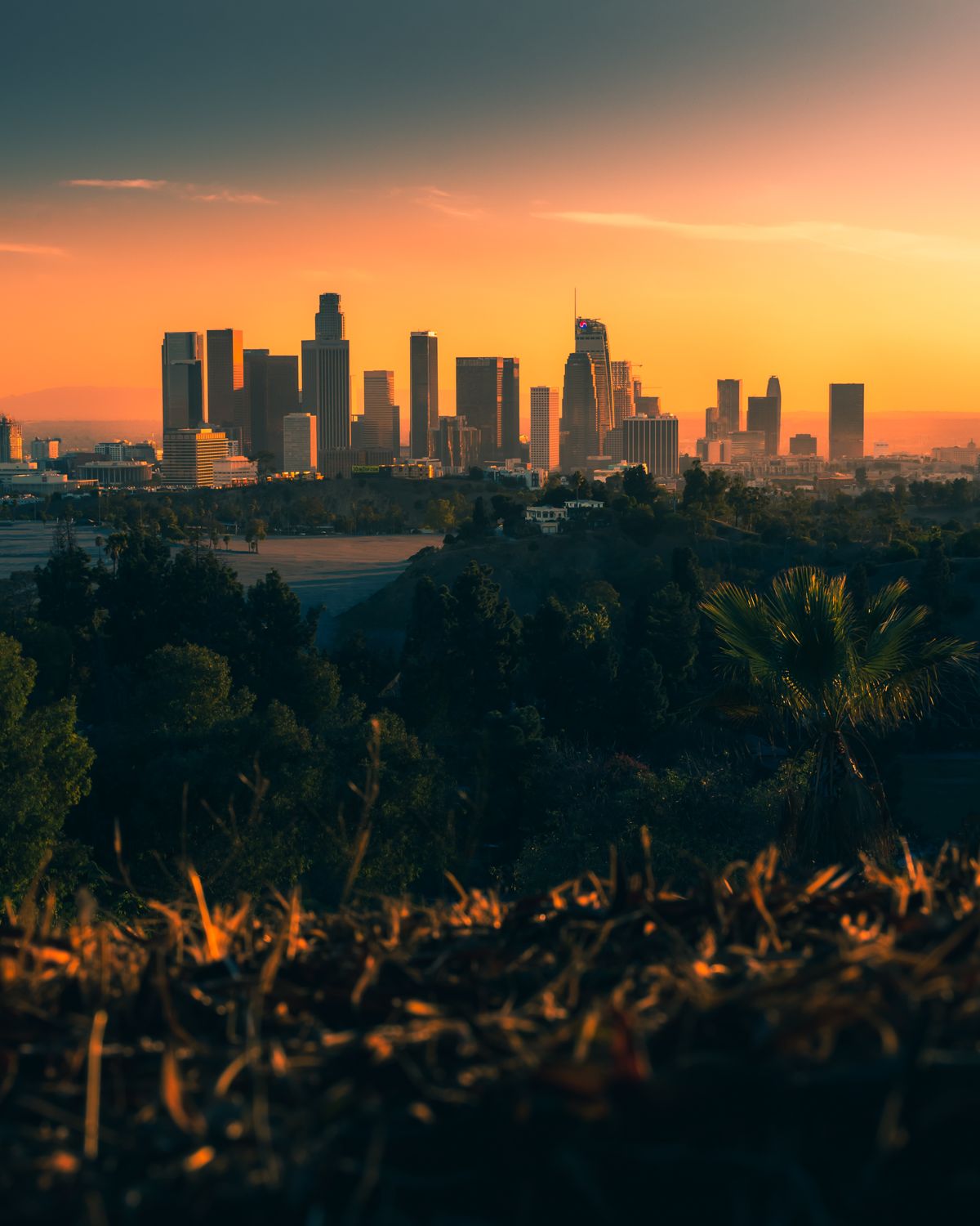 Centro de Los Ángeles al atardecer